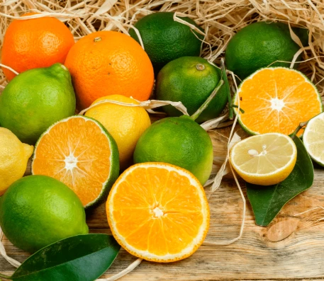 Flexigenics Ingredient Quercetin 